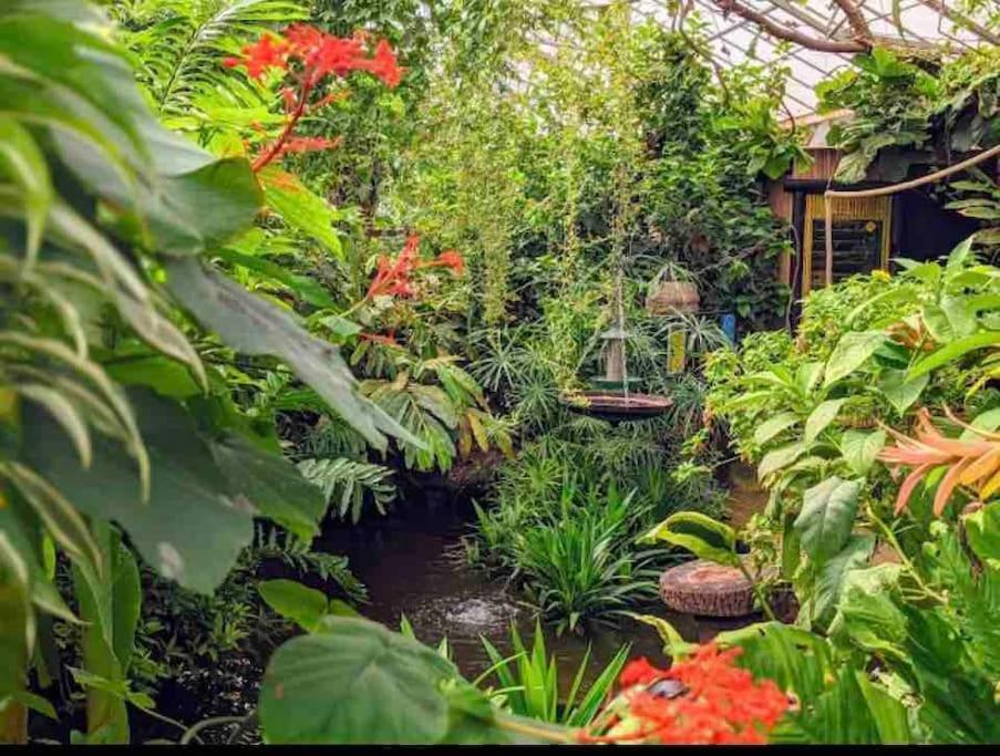 Handsworth Hidden Gem !Stunning 3 Bedroom Home In Sheffield מראה חיצוני תמונה
