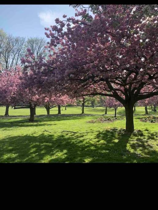Handsworth Hidden Gem !Stunning 3 Bedroom Home In Sheffield מראה חיצוני תמונה